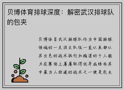 贝博体育排球深度：解密武汉排球队的包夹